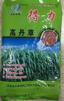 得力高丹草---“養魚青飼料之王”，具有產量高、葉量豐富、適應性廣、營養豐富、生長速度快、多次刈割、利用率高